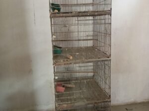 Bird Iron Cages for Sale – 2 Folding and 2 Heavy Cages