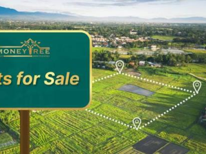 F14/2 50×90 plot for sale in Islamabad