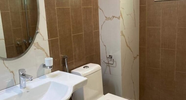 Askari 10 Brand New Apartment for Rent