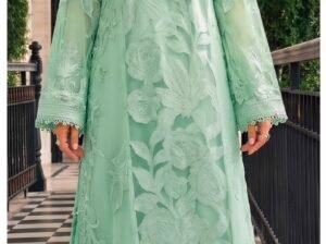 women cloths