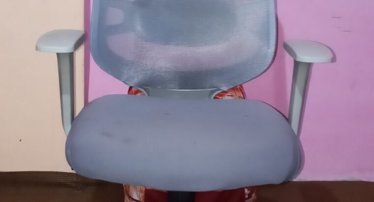 imported Korean chair