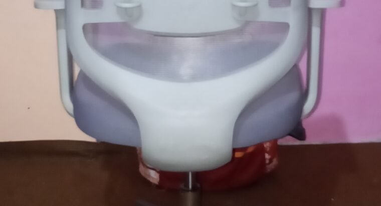 imported Korean chair