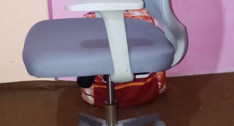 imported Korean chair
