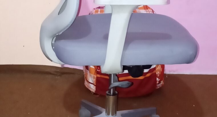 imported Korean chair