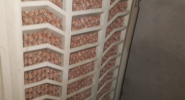 AC/DC Air cooler