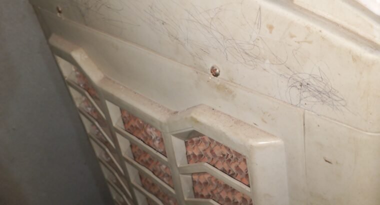 AC/DC Air cooler