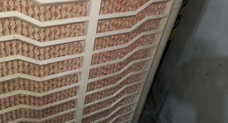 AC/DC Air cooler