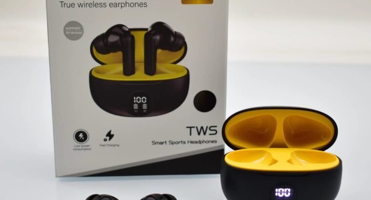 Professional Display Stereo 895B Wireless Bluetooth Earbuds