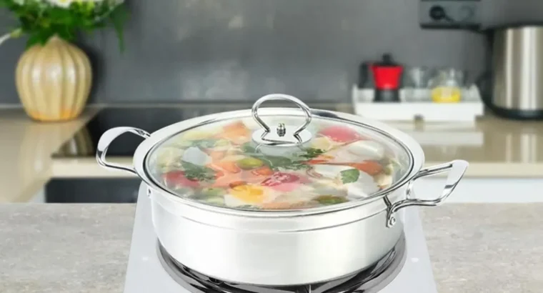 Portable electric stove _ white stainless steel *