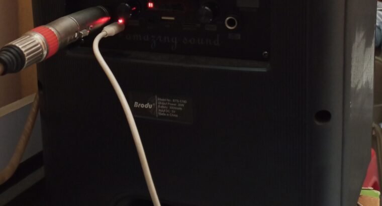 Audio Speaker