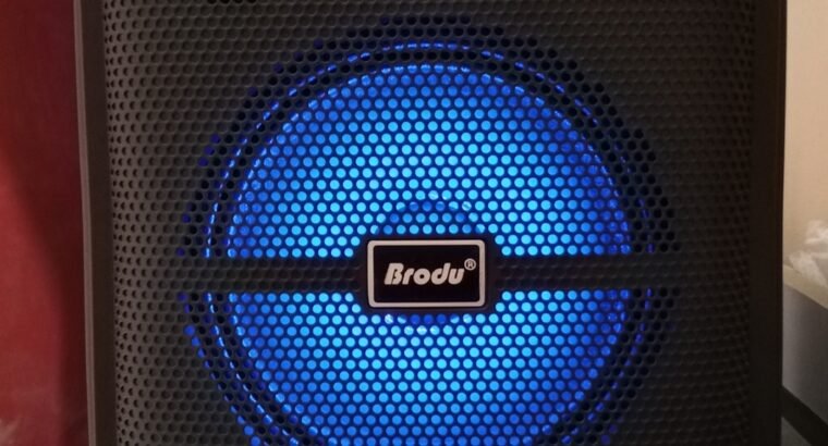 Audio Speaker