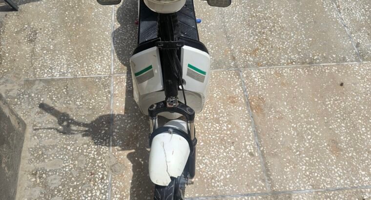 YJ Electric Scotty For Kids for sale