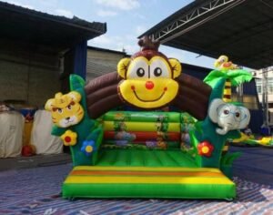 jumping castle with décor, creative themes, modern lighting, and complete event management services.