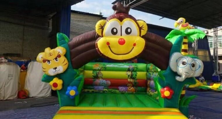 jumping castle with décor, creative themes, modern lighting, and complete event management services.