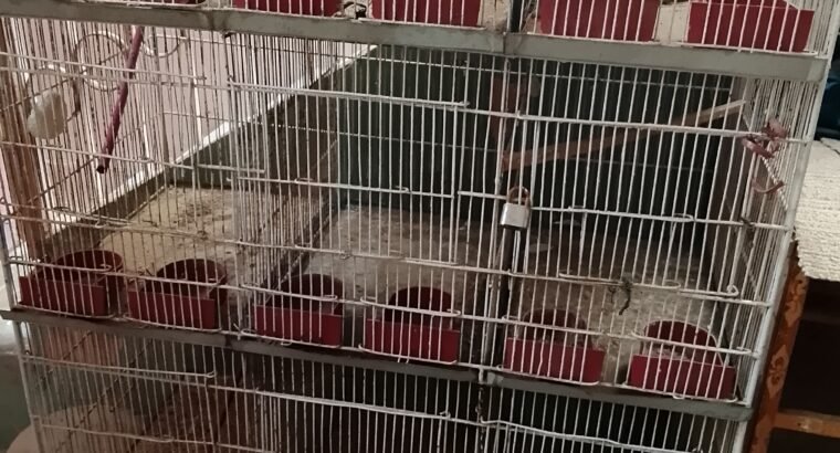 cages for sale