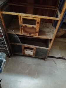cages for sale