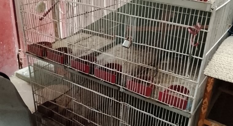 cages for sale