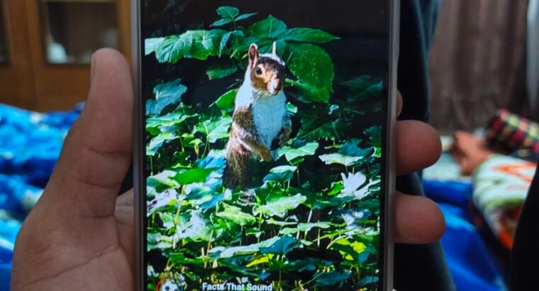 Realme c100i 10 by 10 condition no fault...