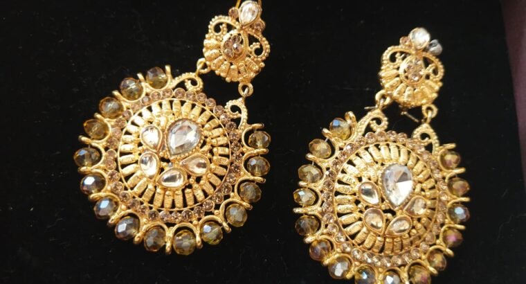 Stylo earrings