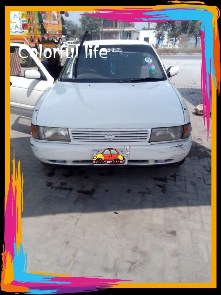 Nissan Sunny - photo 1