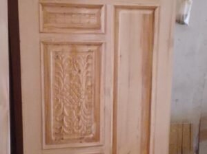 plywood door and sold door