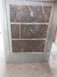 Room cooler for sale in Rs.9000 in Rawalpindi