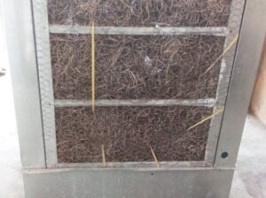 Room cooler for sale in Rs.9000 in Rawalpindi