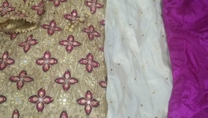 Trendy cut work party wear dress