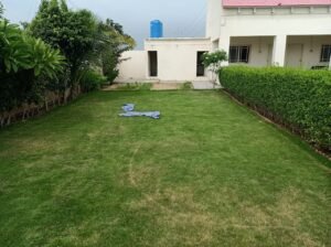 Beautiful Farm House Available for Sale in Saeed Goth