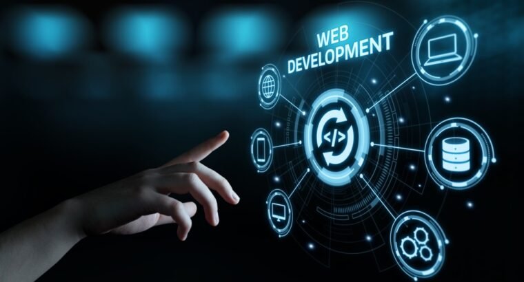 Professional Web Designer