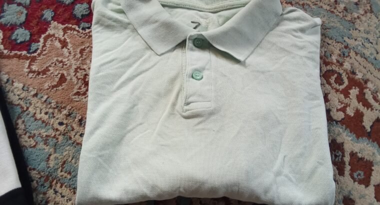 5 Branded Polo T Shirts – Good Condition – Rs.1000