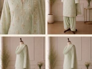 Embroided chiffon