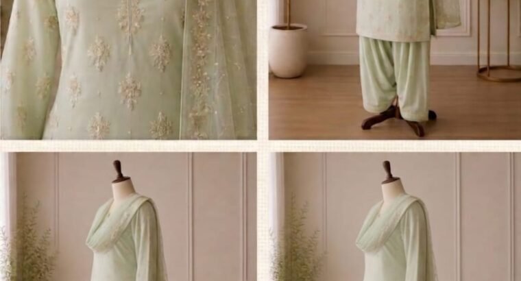 Embroided chiffon
