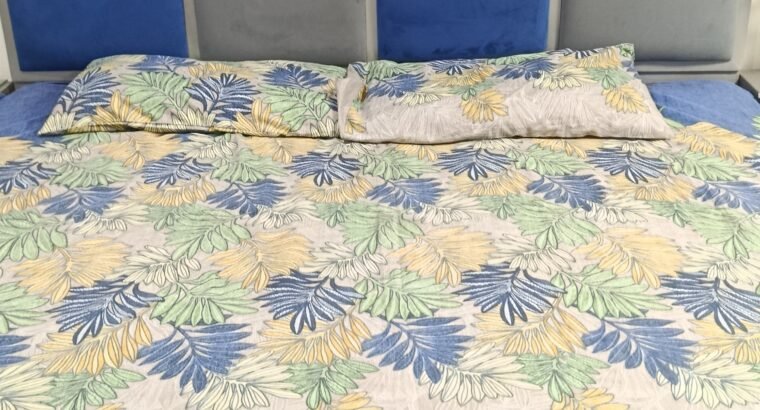 bed set with sofa cum bed