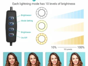 6-Inch Multi-Position Fill Light