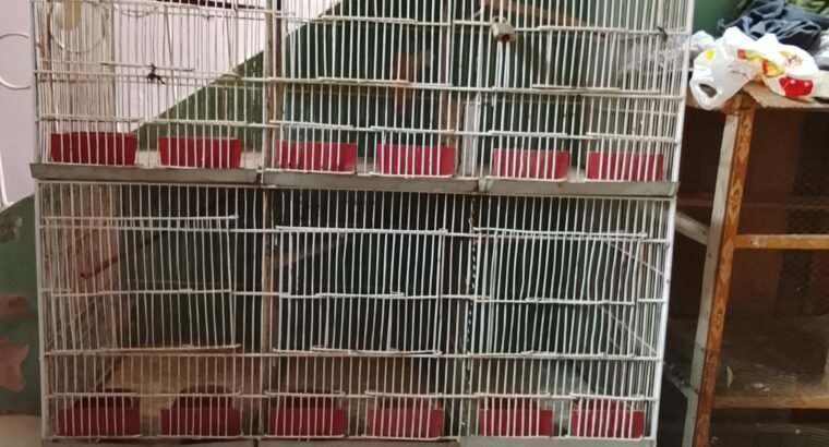 Cages