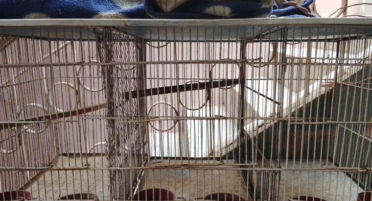 Cages