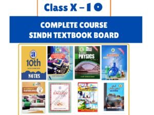 X Class Sindh Board Books + Notes Bundle for Computer Science Students