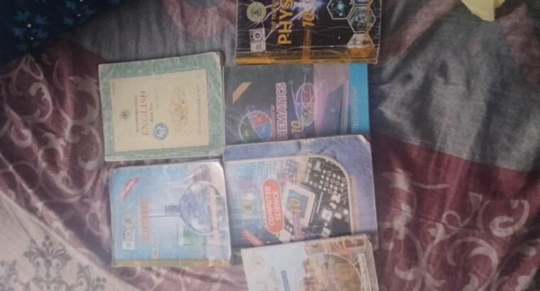 X Class Sindh Board Books + Notes Bundle for Computer Science Students