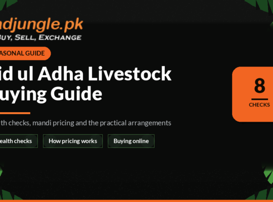Eid ul Adha Livestock Buying Guide for Pakistan