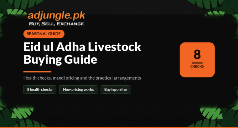 Eid ul Adha Livestock Buying Guide for Pakistan