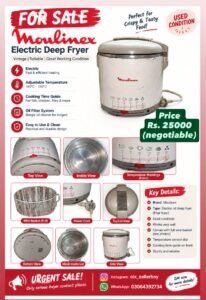 Deep fryer