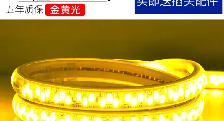 Living Room 5730 Highlight Double Row High Voltage LED Strip Wholesale Indo