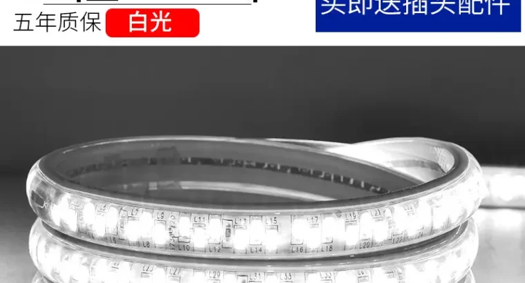 Living Room 5730 Highlight Double Row High Voltage LED Strip Wholesale Indo