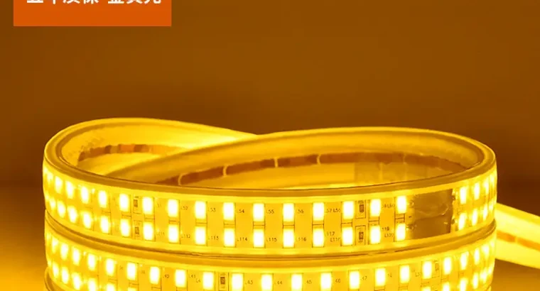 Living Room 5730 Highlight Double Row High Voltage LED Strip Wholesale Indo