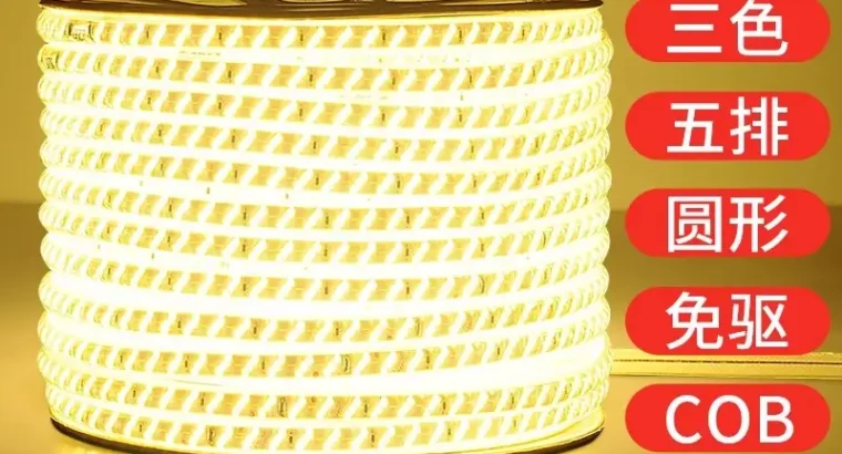 Living Room 5730 Highlight Double Row High Voltage LED Strip Wholesale Indo