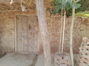 5 and 7 mrla old house for sale