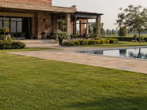 Looking for a Farm House Near DHA Phase 7?