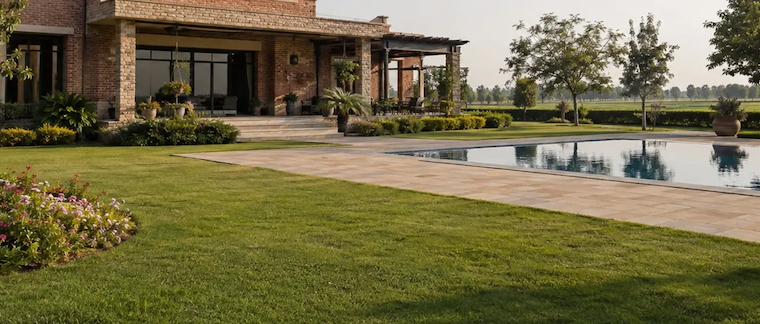 Looking for a Farm House...