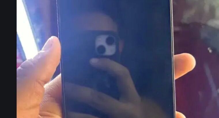 i phone 12 pro max